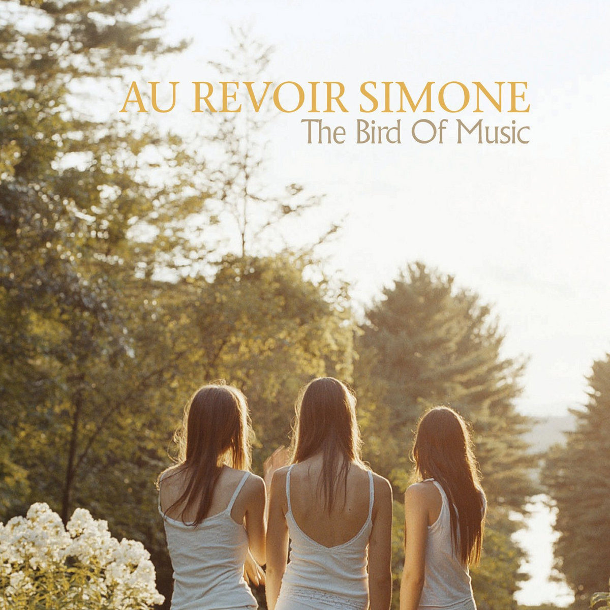 Au Revoir Simone - The Bird of Music
