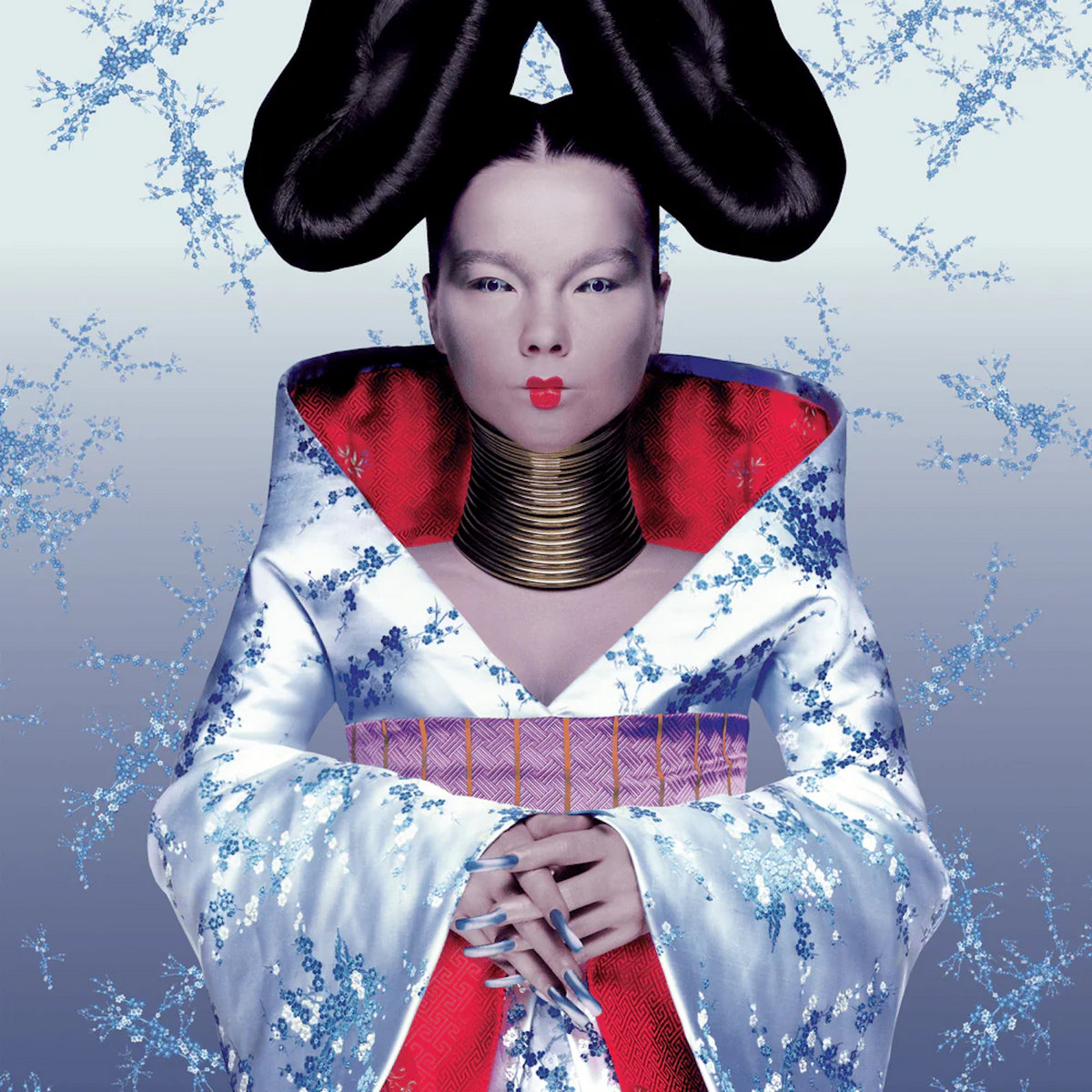 Bj&ouml;rk - Homogenic