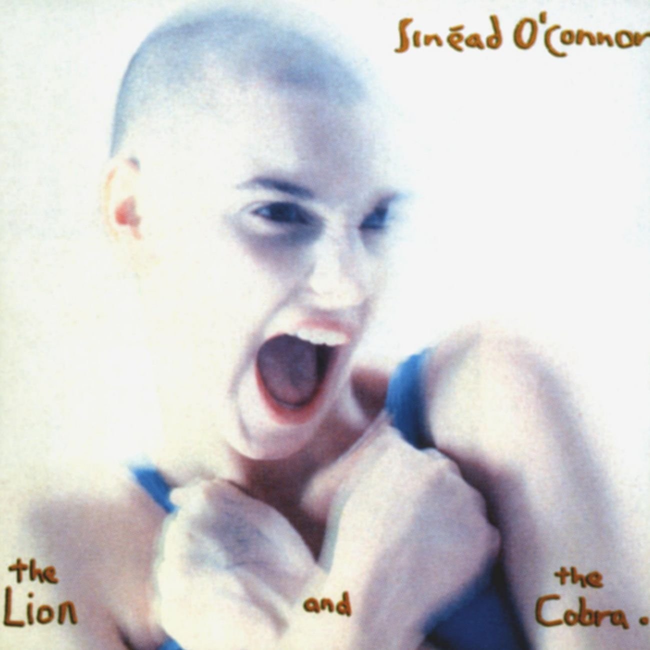 Sin&eacute;ad O'Connor - The Lion And The Cobra